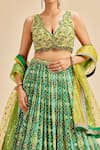 Shop_Nitika Gujral_Green  Chinon Badhani And Blouse & Dupatta Net Pattern Set _Online_at_Aza_Fashions