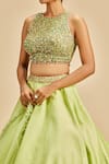 Buy_Nitika Gujral_Green Lehenga And Blouse Raw Silk & Dupatta Net Embroidery Floral Applique Set _Online_at_Aza_Fashions