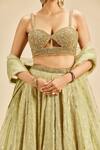 Shop_Nitika Gujral_Green Lehenga Georgette And Dupatta & Blouse Net Embroidery Tonal Resham Set _Online_at_Aza_Fashions