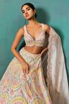 Aneesh Agarwaal_Ivory Organza, Net, Silk Cut Work, Sequins, Applique, Floral Bridal Lehenga Set _Online_at_Aza_Fashions