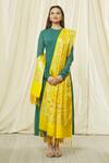 Shop_Naintara Bajaj_Yellow Brocade Zari, Fringe Floral Woven Banarasi Art Silk Dupatta_Online_at_Aza_Fashions