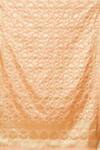 Buy_Naintara Bajaj_Peach Brocade Zari, Fringe Floral Woven Banarasi Art Silk Dupatta_Online_at_Aza_Fashions