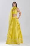 Shop_Megha Bansal_Yellow Raw Silk Hand Embroidered Sequin And Cut Dana Shazneen Fiha Lehenga Set _Online_at_Aza_Fashions