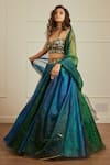 Cedar & Pine_Blue Net Printed And Embroidered Gold Foil Sweetheart Neck Lehenga Set_Online_at_Aza_Fashions