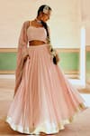 Shop_KARAJ JAIPUR_Pink Blouse And Dupatta Georgette Chikankari Pleated Lehenga & Set  _Online_at_Aza_Fashions