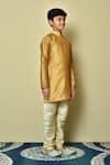 Shop_Petite Pomme_Brown Silk Solid Half Button Placket Kurta _Online_at_Aza_Fashions