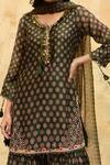 Shop_Label Niti Bothra_Green Pure And Handwoven Banarasi Silk With Bemberg Pattern Kurta Sharara Set_Online_at_Aza_Fashions