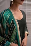 Shop_Priyanka Raajiv_Blue Silk, Cotton, Tissue, Satin, Brocade, Meenakshi Stripe Embroidered Dupatta _at_Aza_Fashions
