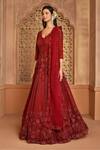 Kalighata_Maroon Net Embroidery, Sequins V-neck Sea Noor Gown _at_Aza_Fashions