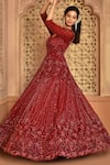 Buy_Kalighata_Maroon Net Embroidery, Sequins V-neck Sea Noor Gown 