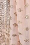 Soniya G_Pink Embroidery Shawl _Online_at_Aza_Fashions