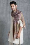 Shop_DUSALA_Multi Color Kalamkari Handwoven Cashmere Wool Pattern Stole_Online_at_Aza_Fashions