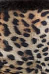 Buy_Dusala_Brown Handwoven Cashmere Fine Wool Animal Print Stole _Online_at_Aza_Fashions