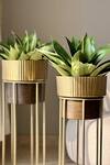 Mason Home_Gold Iron Brooklyn Fluted Textured Planter - Set Of 2_Online_at_Aza_Fashions