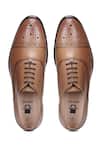 Hats Off Accessories_Brown Genuine Leather Pointed Toe Oxford Shoes_Online_at_Aza_Fashions