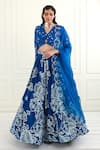 Ek Soot_Blue Organza Printed Floral V Neck Pleated Lehenga Set _Online_at_Aza_Fashions