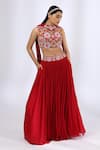 Buy_Neha Gursahani_Red Georgette Embroidery Floral V Neck Blouse With Lehenga Set _Online_at_Aza_Fashions