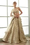 Studio Iris India_Gold Organza Embroidery Floral Serra Geometric Pattern Bridal Lehenga Set _Online_at_Aza_Fashions