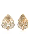 Buy_Bblingg_Gold Plated Crystal Nivi Earrings _Online_at_Aza_Fashions