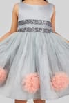 Pinkcow designs pvt ltd_Grey Net Embroidery Pompom Sequin And Embellished Dress _Online_at_Aza_Fashions