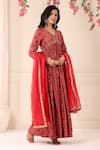 Shop_BAIRAAS_Red Muslin Printed Floral Patterns V Neck Long Anarkali With Organza Dupatta_Online_at_Aza_Fashions