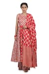 Buy_Seema Nanda_Pink Chanderi Silk Printed Phulkari Round Reet Anarkali Sharara Set  _Online_at_Aza_Fashions