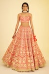 Shyam Narayan Prasad_Red Silk Embroidered Gota And Thread Work Panelled Bridal Lehenga Set With Sleeves _Online_at_Aza_Fashions