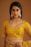 Buy_Shyam Narayan Prasad_Yellow Dupion Silk Zardozi Work Saree With Chanderi Blouse