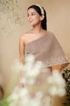 Reeti Arneja_Brown Taffeta Silk Embroidered Sequins One Shoulder Raina Saree Gown_Online_at_Aza_Fashions