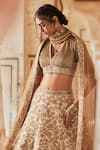 Taisha_Brown Pure Tussar Silk Hand Embroidered Botanical Jaal Bridal Lehenga Set _at_Aza_Fashions