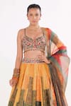 Shop_Cedar & Pine_Multi Color Brocade Embroidery Dori Collage Pattern Lehenga Set  _Online_at_Aza_Fashions