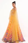 Cedar & Pine_Multi Color Organza Embroidery Bohemian Striped Pattern Lehenga Set  _Online_at_Aza_Fashions