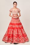 Shop_Tamaraa By Tahani_Red Net, Silk Taffeta Cutdana, Dela Embellished Kalidar Bridal Lehenga Set _Online_at_Aza_Fashions