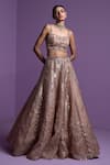 Shop_Parul Gandhi_Gold Organza Sequins, Crystals Metallic Striped Embroidered Lehenga Set _Online_at_Aza_Fashions