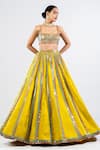 Vvani By Vani Vats_Green Georgette, Satin, Organza Sequins Square Neck Stripe Pattern Lehenga Set _Online_at_Aza_Fashions