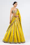 Shop_Vvani By Vani Vats_Green Georgette, Satin, Organza Sequins Square Neck Stripe Pattern Lehenga Set _Online_at_Aza_Fashions