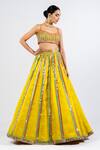 Vvani By Vani Vats_Green Satin, Georgette, Organza Mirrors Embroidered Stripe Pattern Lehenga Set _Online_at_Aza_Fashions