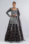 Buy_Vvani by Vani Vats_Grey Kurta And Lehenga- Georgette & Dupatta Net Embroidery Mirror & Chheeta Set _Online_at_Aza_Fashions