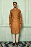 Buy_Nazaakat by Samara Singh_Brown Jacquard Woven Straight Kurta Set_Online_at_Aza_Fashions