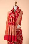 Shop_Ekaya_Red Silk Woven Banarasi Kadwa Saree For Women_at_Aza_Fashions