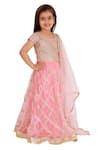 Buy_Bloomers by Amrita M_Pink Organza Embroidered Lehenga Set  _at_Aza_Fashions