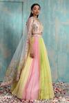 Smriti By Anju Agarwal_Pink Blouse- Net And Taffeta, Dupatta- Net, Lehenga- Chinnon Navya Pleated Set _Online_at_Aza_Fashions