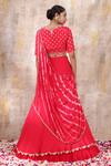 Shop_Smriti By Anju Agarwal_Red Blouse- Silk, Dupatta- Crepe, Lehenga- Omaira Set With Embroidered _at_Aza_Fashions