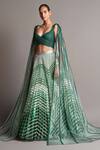 Amit Aggarwal_Green Tulle Metallic Draped Blouse And Lehenga Set_Online_at_Aza_Fashions