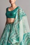 Buy Amit Aggarwal Green Silk Organza, Polymer Round Metallic Chevron Bridal Lehenga Set Online at Aza Fashions Buy_Amit Aggarwal_Green Silk Organza, Polymer Round Metallic Chevron Bridal Lehenga Set _Online_at_Aza_Fashions