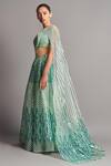 Amit Aggarwal_Green Tulle V Neck Metallic Lehenga Set_Online_at_Aza_Fashions