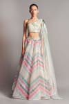 Buy Amit Aggarwal Multi Color Tulle Asymmetric Metallic Draped Blouse And Lehenga Set at Aza Fashions Buy_Amit Aggarwal_Multi Color Tulle Asymmetric Metallic Draped Blouse And Lehenga Set _at_Aza_Fashions
