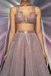 Shop_Amit Aggarwal_Grey Chiffon, Striped Fabric Plunge V Neck Metallic Lehenga Set _Online_at_Aza_Fashions