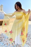 Buy_Anaya by Akruthi_Yellow Swiz Organza Hand Painted Dupatta _at_Aza_Fashions