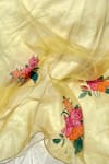 Anaya by Akruthi_Yellow Swiz Organza Hand Painted Dupatta _at_Aza_Fashions